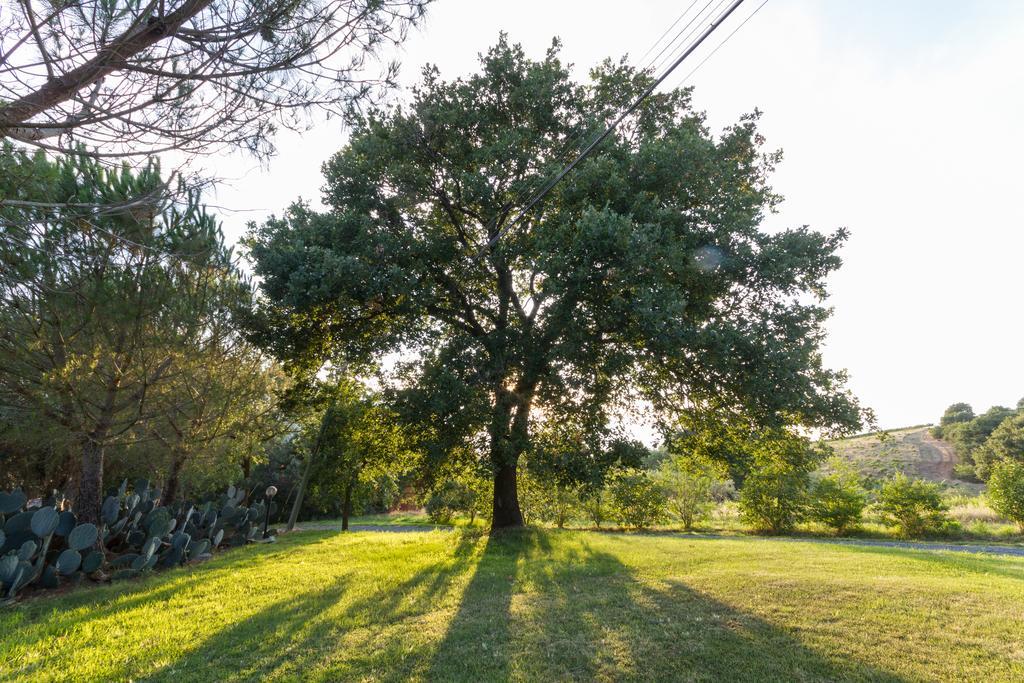 Agriturismo Cupido Montiano  Dış mekan fotoğraf