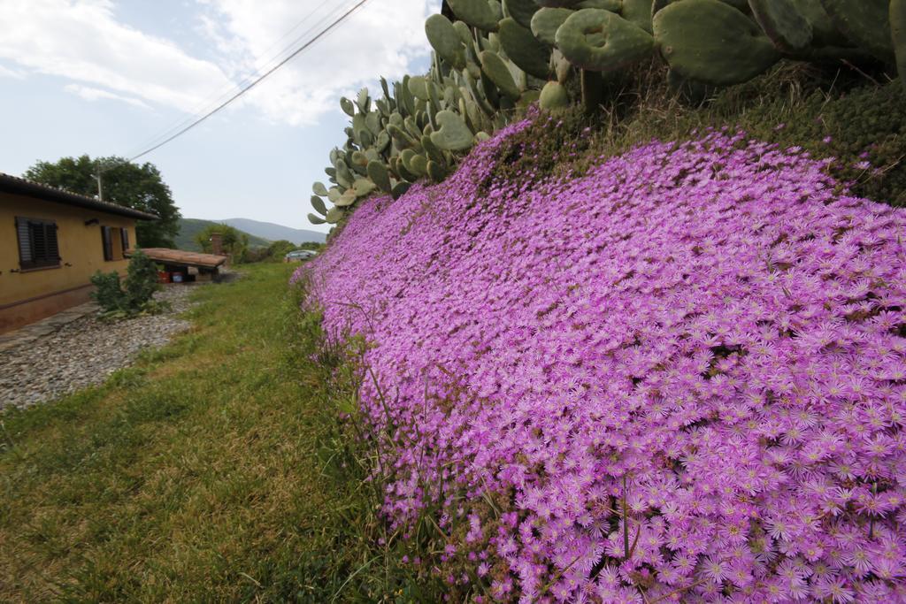 Agriturismo Cupido Montiano  Oda fotoğraf