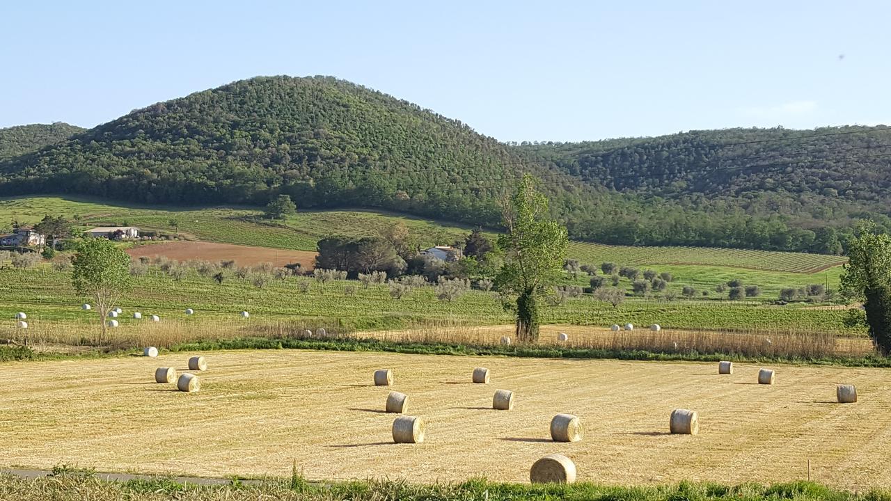Agriturismo Cupido Montiano  Dış mekan fotoğraf